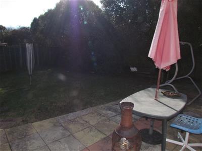 Picture 5